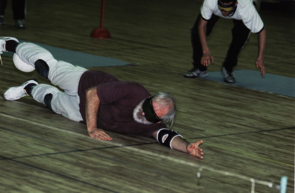 photo de plgeaon torball